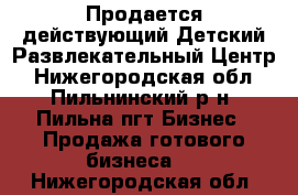 Продается действующий Детский Развлекательный Центр - Нижегородская обл., Пильнинский р-н, Пильна пгт Бизнес » Продажа готового бизнеса   . Нижегородская обл.